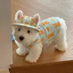 2Pcs Summer Dog Cooling Clothes Set - Cartoon Print Vest with Sun Hat, Breathable Sun Protection Lightweight Quick-Dry Pet Outfi