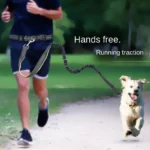 Hand Free Dog Leash for Pet Walking Running Jogging Adjustable Dog leash Waist Belt Chest Strap Traction Rope Dog Accessories - Image 5