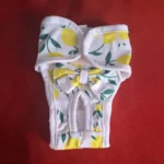 Reusable and Adjustable Dog Diaper Pants - High-Quality Breathable Mesh Menstrual Pants, Suitable for Indoor and Outdoor Use, Stylish Lemon Leaf Pattern Design, Comfortable Pet Clothing, Available in Two Colors - Image 7