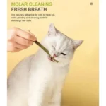 6pcs Natural Matatabi Cat Stick Mint Caught Bite Excited Rods Silvervine For Cat Teeth Cleaning Treating Pet Supply Cat Toys - Image 4