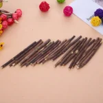 15-60pcs Natural Catnip Pet Cat Molar Toothpaste Stick Matatabi Actinidia Fruit Silvervine Cat Snacks Sticks Pet Cleaning Teeth - Image 6
