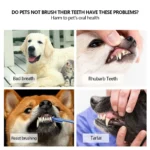 Three Sided Pet Toothbrush Three-Head Multi-angle Toothbrush Cleaning Dog Cat Brush Bad Breath Teeth Care Tool Cleaning Mouth - Image 4