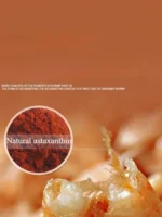 YEE Freeze Dried Antarctic Krill Is Rich In Protein And Contains Astaxanthin Which Can Enhance Color - Image 3