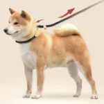 Heavy Duty Dog Leash Slip Rope Lead Adjustable Braided Loop Collar Training Leash for Medium to Large Dogs - Image 4
