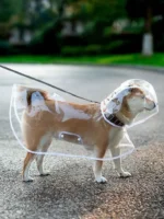 Dogs going out, transparent waterproof raincoat with hat pet raincoat - Image 3