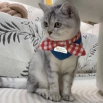 Cute Soft Dog Bandanas Breathable Adroable Dog Bibs with Red Plaid Bow Tie Triangle Bibs for Small Medium Puppy Cat - Image 3