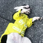Pet Dog Waterproof Coat Dog Raincoat Reflective Dog Outdoor Clothes Hooded Jacket for Small Medium Large Dog Pet Supplies - Image 6