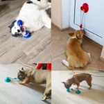 Rubber Suction Cup Dog Ball Pull Rope Interactive Chew Molar Toy Bite Resistant Teeth Clean Pet Play Training Relieve Boredom - Image 5
