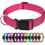 11 Colors Pet Dog Collar Nylon Neck Collar for Small Mdium Large Dog Chihuahua Leash Reflective Collars Supplies Pet Accessories - Image 6