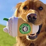 Chewing and Squeaking Dog Toys Pet Dogs and Cats Plush Coffee Cups Durable Interactive Pet Teeth Grinding Toys Dog Accessories - Image 2