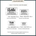 Personalized Stainless Steel Pet Cat Dog ID Tag Collar Accessories Custom Engraved Necklace Supplies For Dog Tag Name Products - Image 6