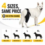 Adjustable Dog Rear Leg Brace Knee Joint Support Wrap for Large Dogs Hind Leg Protector Recovery Sleeve for Injury Arthritis - Image 6