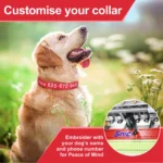 Embroidered Nylon Dog Collar Personalized Puppy Cat Collars Reflective Pet ID Collars DIY Phone Name ID For Small Large Dog Cat - Image 10