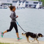 Hand Free Dog Leash for Pet Walking Running Jogging Adjustable Dog leash Waist Belt Chest Strap Traction Rope Dog Accessories - Image 5