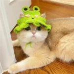 Cat Hats Elastic Cute Puppy Kittens Hat Headwear Photo Shoot Props Cat Accessories - Image 2