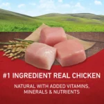 Dry Dog Food for Adult Dogs with High Protein Real Chicken and Rice Formula 16.5 lb Bag - Image 4