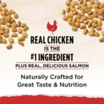4 pack Cat Chow Naturals, Dry Cat Food, Chicken and Salmon, 6.3 lb Bag - Image 3