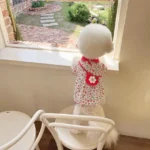 Pet Dog Dog Floral Dress Spring Summer Thin Small Dog Dress Teddy Bigbear Pomeranian Yorkshire Cat Clothes dog dresses - Image 4