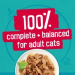 Wet Cat Food Variety Pack with Tasty Prime Filets in 5.5 oz Cans - Image 3