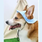 Dog Cotton Sun Hat With Ear Holes Round Brim Puppy Kitten Bucket Hat Outdoor Sun Protection Pet Caps for Small Medium Cat Dogs - Image 6