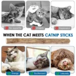 5pc Catnip Stick Pet Cat Molar All Natural Self-healing Wooden Toys Suppli Cleaning Relieve Polygonum Snacks Chews Boredom Z0A6 - Image 6
