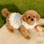 Cute Plaid Lace Pet Dress for Small Dogs Cats, Bowknot Ruffle Skirt Puppy Kitten Outfit, Summer Dog Cat Clothes - Image 5