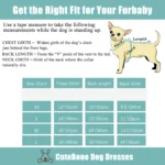 CuteBone Dog Mesh Dress Puppy Sundress Pet Outfit Summer Fashion for Small Dogs Girl Dog Dress Fashion Pet Clothes - Image 6