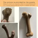 Caitec Dog Toys Chewing Bone Toys Durable Bite Resistant Great for Tossing and Chasing Suitable for Small to Large Dogs - Image 6
