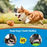 Pet Dog Chew Toy Outdoor Pet Puppy Bite Resistant Molar Floating Rubber Tennies Bear Squeaky Toy Dog Squeaky Toy Accessories - Image 6