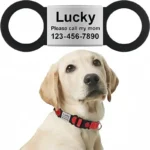 Custom Cat Dog ID Personalized Pet Collar Tag Engraving Charm Name Pendant Bne Necklace Puppy Key Ring Pet Accessories - Image 2