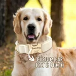 1pc Personalized Dog Collar Velvet, Engraving Custom Name Phone Number ID Tag, Soft Comfy Adjustable Collars For Small Medium La - Image 4