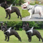 Pet Dog Harness for Small Medium Big Dogs Cats Hiking Puppy Adjustable Reflective Chest Strap French Bulldog Pug Teddy Supplies - Image 6