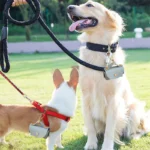 Stylish Pet Bag Holder Faux Leather Pet Poop Bag Holder with Dispenser for Dog Bags Portable Dog Poop Bag Organizer Supplies Pet - Image 4