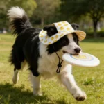 Adjustable Dog Hat Cute Print Cap for Puppies and Small Breeds, Pet Sun Protection Hat for Walking Outdoor Activities - Image 6