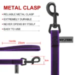 1.5M/2M/5M/3M/15M Medium small Long Dog Leash Latex Silk Easy and Convenient Training Big Dual color dog leash 10 meters - Image 3