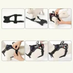 Dog Harness And Leash Set, Escape Proof No Pull Dog Vest Harness With Reflective Dog Walking Traction Rope - Image 4