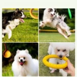 Dog Ring Toys Indestructible Chewing Flying Floating Training Tools Fetch for Small Medium Large Dogs Throwing Catching Flying - Image 3