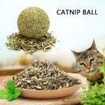 Natural Catnip Cat Wall Stick-on Ball Toy Scratchers Treats Healthy Natural Removes Balls to Promote Digestion Cat Grass Snack ﻿ - Image 2