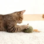 1/5pcs Interactive Mouse Plush Cat Chew Toy Squeaky Imitation Mice Bite-resistant Kitten Toy Interactive Plush Cat Toy Supplies - Image 4