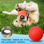 Pet Solid Elastic Toy Ball Cat/Dog Toy Ball 5/6/7CM Rubber Bite Resistant Dog Outdoor Training Tool Pet Teeth Cleaning Supplies - Image 5