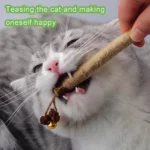 Silvervine Cat Chew Sticks, 5 Natural Catnip Chew Toys for Kitten Teeth Cleaning, Matatabi Dental Care, Increase Appetite, Sooth - Image 5