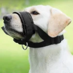 Adjustable Dog Muzzle Prevent Biting and Barking Safety Breathable Pet Muzzle Anti-Bite & Bark Control With Secure Fit Design