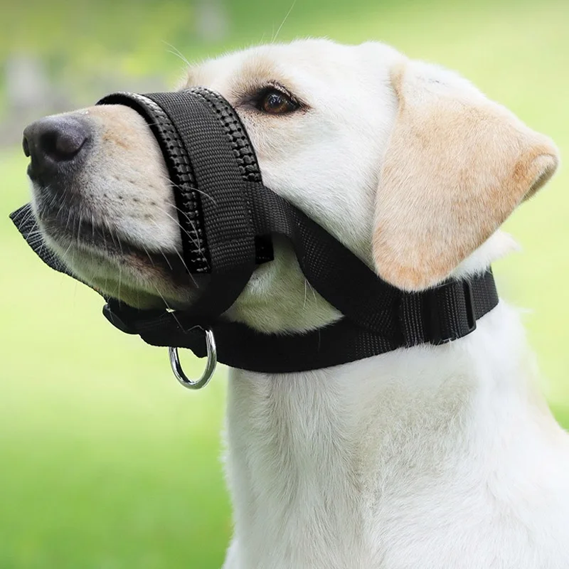 kf-Sd14c981481474e1b9dcafb578bdeec2cM Adjustable Dog Muzzle Prevent Biting and Barking Safety Breathable Pet Muzzle Anti-Bite & Bark Control With Secure Fit Design - Image 1