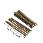 10Pcs/15Pcs/20Pcs Cat-Snack Polygonum Natural Polygonum Stick Molar Stick Thin Rod Polygonum Pet Supple - Image 5