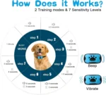 Pet Dog Anti Barking Device USB Rechargeable Dogs Training Collar Ultrasonic Stop Barking Vibration Anti Bark Collar - Image 8