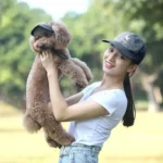 High-quality Ear Holes Pet Baseball Hat Adjustable Cat Dog Pet Visor Hat Outdoor Pet Casquette - Image 2