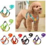 Small Medium Dogs Harness Vest Walking Traction Rope Reflective Straps, Soft Mesh Harness Breathable Pet Supplies