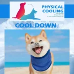 1-10PCS Summer Dog Cooling Collar Reusable Chill Scarf Breathable Pet Neck Wrap for Outdoor Use Heatstroke Prevention for Dogs - Image 5