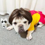 NONOR Pet Wigs Cosplay Props Funny Dogs Cats Cross-Dressing Hair Hat Costumes Head Accessories for Halloowen Christmas Supplies - Image 6