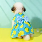 Dog Princess Dress Summer Kitten Pet Skirt Blue Lemon Bow Lace Dog Dresses for Small Medium Puppies Poodle Chihuahua Apparel